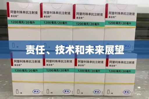 南通责任、技术和未来展望