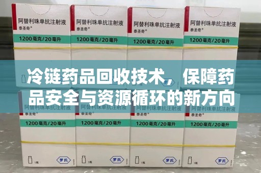 南通冷链药品回收技术，保障药品安全与资源循环的新方向