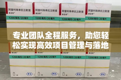 南通专业团队全程服务，助您轻松实现高效项目管理与落地