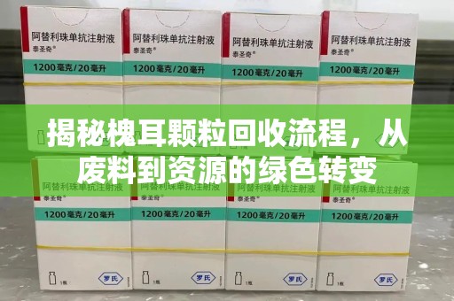 南通揭秘槐耳颗粒回收流程，从废料到资源的绿色转变